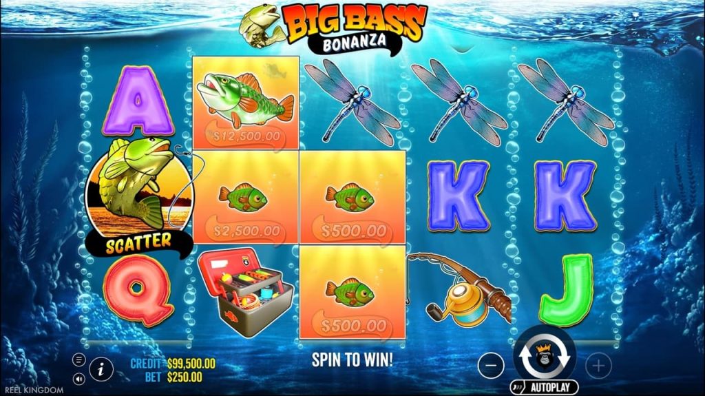 Detailed Breakdown of Bonus Features